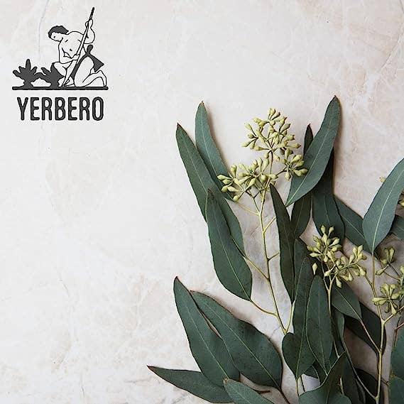 Pack 8-10 leaves Yerbero - Premium Eucalyptus Leaves Grounded| Polvo de Hoja de Eucalipto |100% Pure Leaf, No Fillers