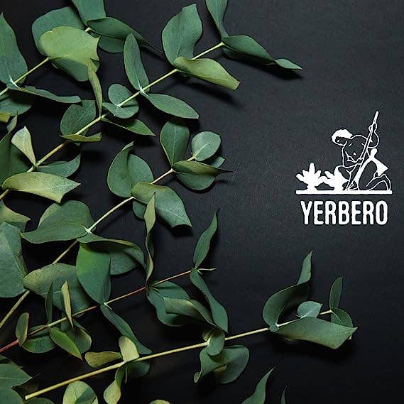 Pack 8-10 leaves Yerbero - Premium Eucalyptus Leaves Grounded| Polvo de Hoja de Eucalipto |100% Pure Leaf, No Fillers