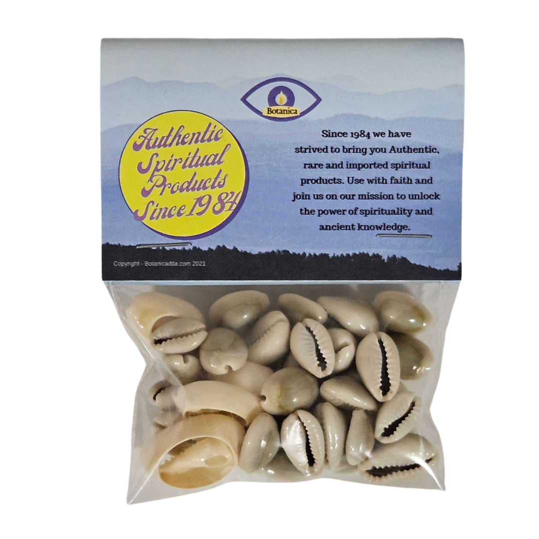 Cowrie Shells 100% Natural 1 oz Bag