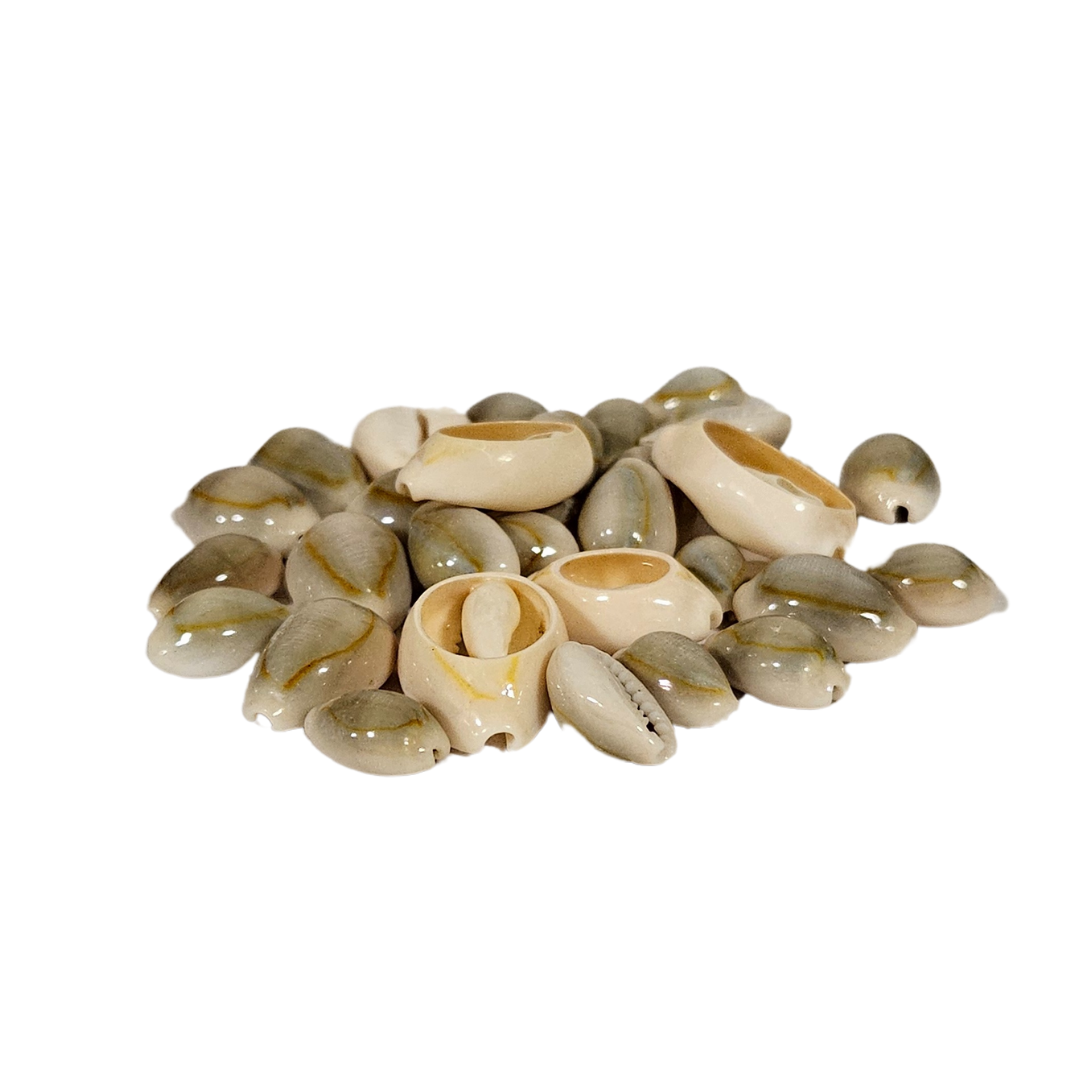 Cowrie Shells 100% Natural 1 oz Bag